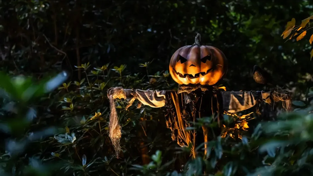 Manchester Halloween & Autumn Plans | Bfriendz article image