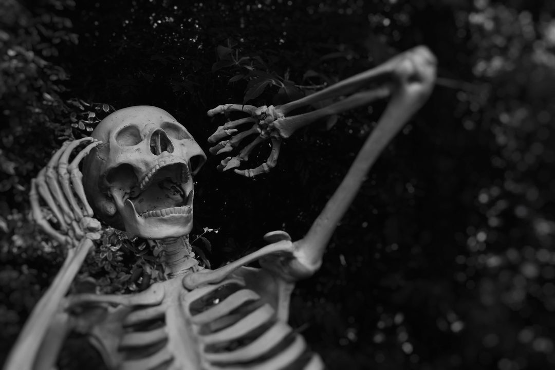 Manchester Halloween & Autumn Plans | Bfriendz article image